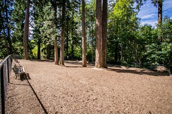 The colonnade apartments pet friendly community with dog park